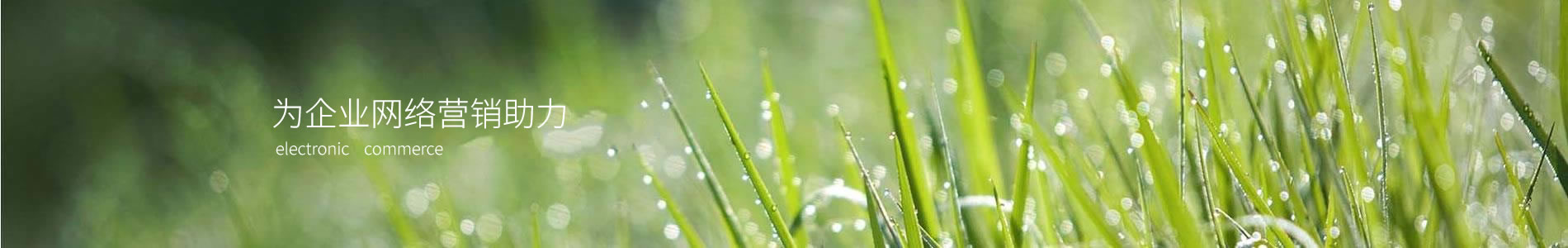 бǿ·޹˾